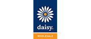 daisy_wholesale.png