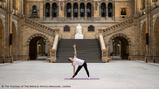 person doing yoga at the Natural History Museum