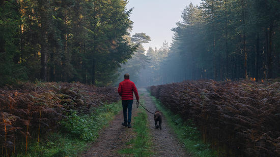 person walking a dog