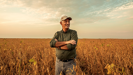 person standing in a field