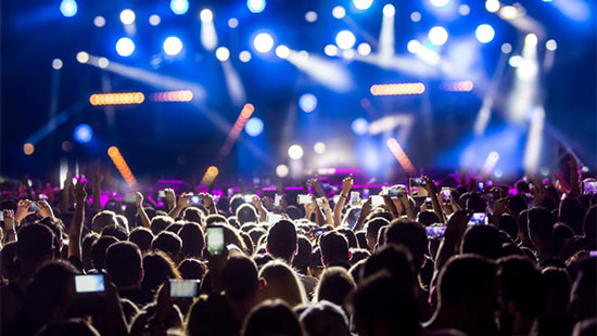 crowd at a concert